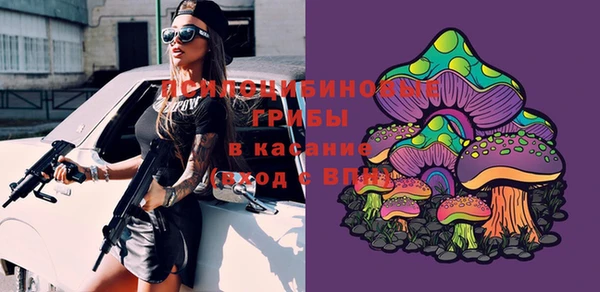 каннабис Аркадак