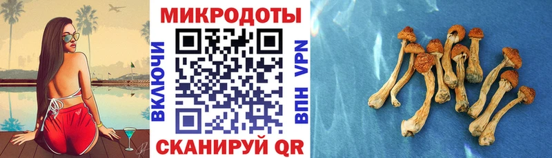 где купить наркоту Макарьев Псилоцибиновые грибы ЛСД